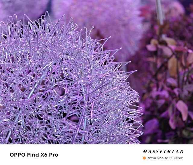 OPPO Find X6 Pro值不值？看完这五点再说