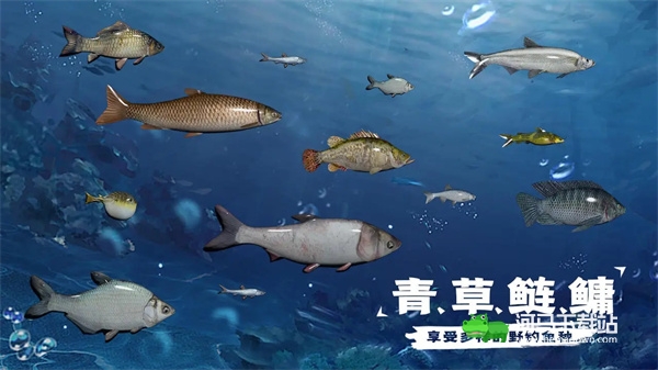 天天钓鱼怎么钓龙 快速钓龙技巧攻略[多图]图片2