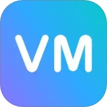 V-Moment