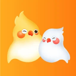 婚前婚后