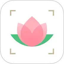 识花
