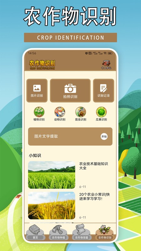 我的农场种地种菜