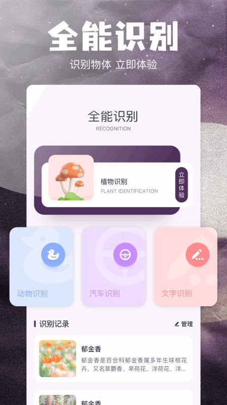 stream