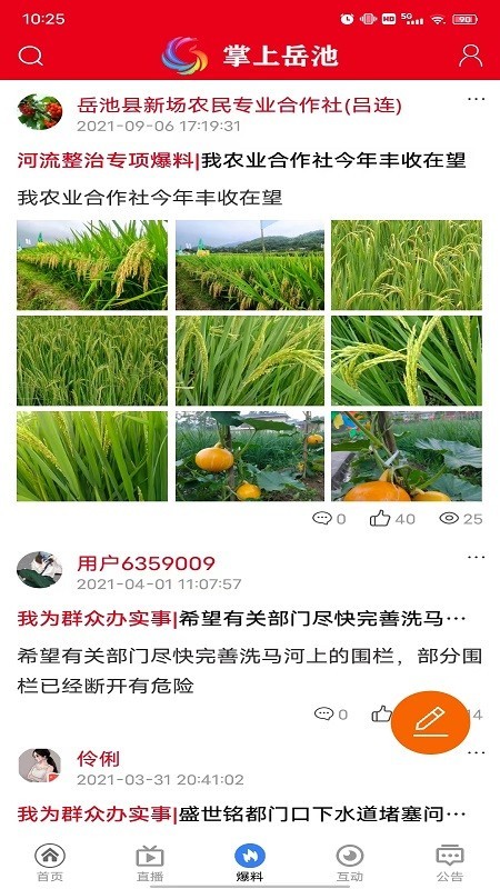 掌上岳池