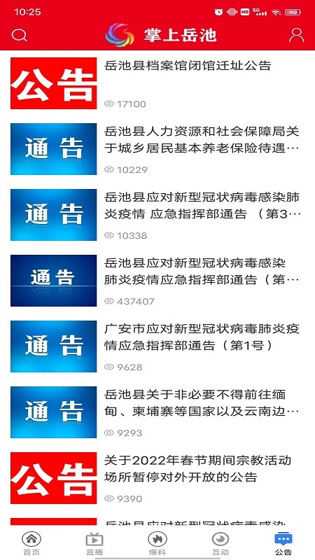 掌上岳池