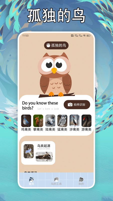 孤独的鸟