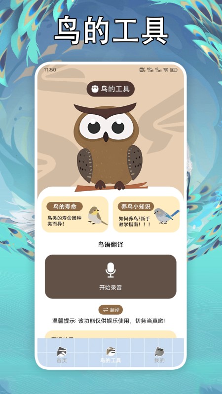 孤独的鸟