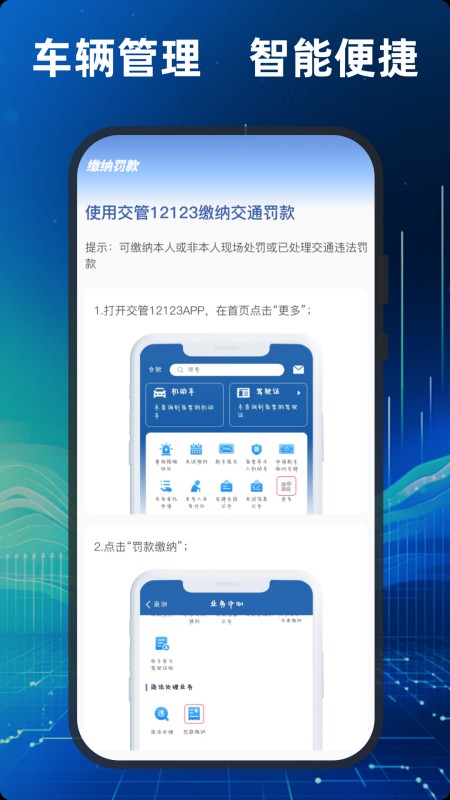 车管违章查询