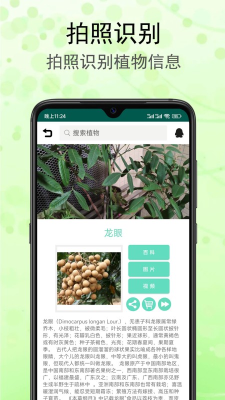 识花草