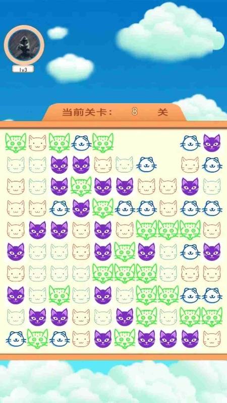 猫咪王国