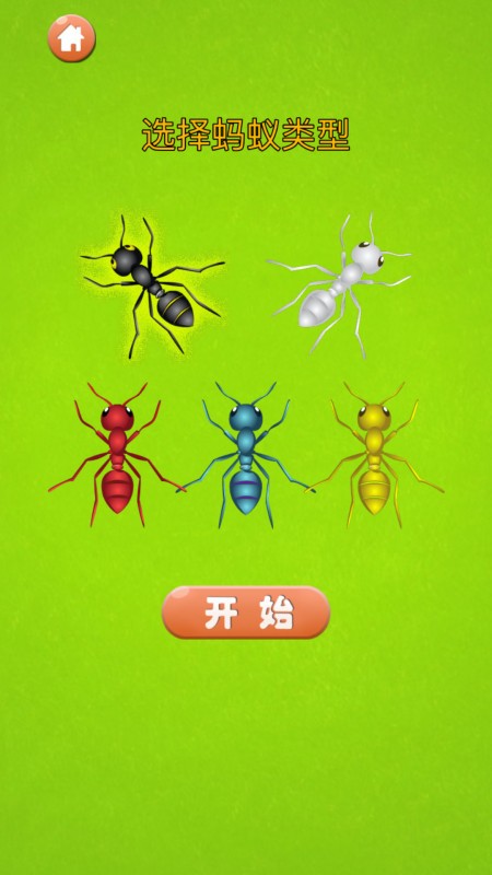 蚂蚁大战