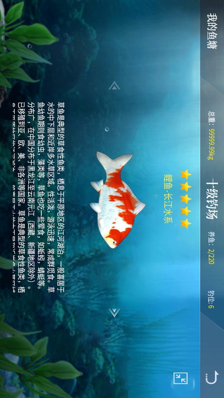 垂钓宗师