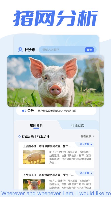 全民养猪场