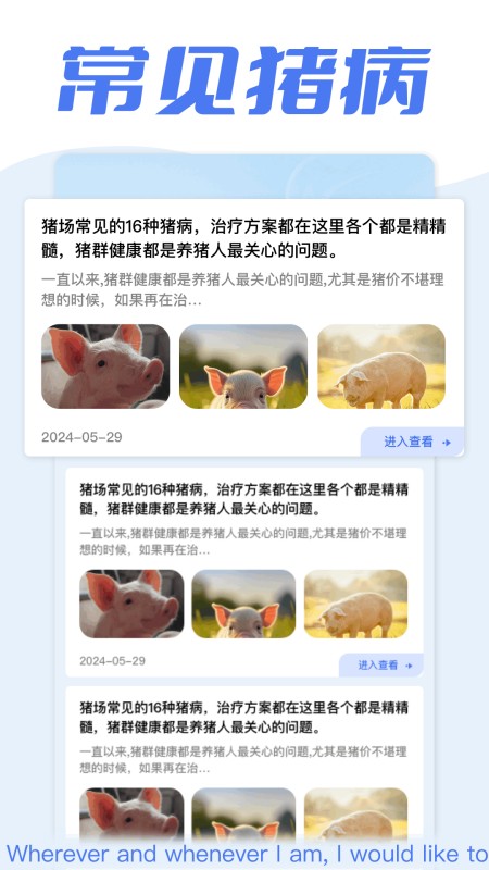 全民养猪场