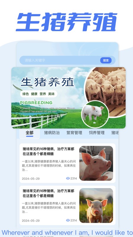 全民养猪场
