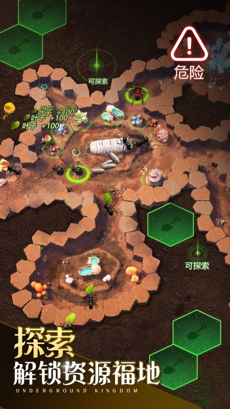小小蚁国