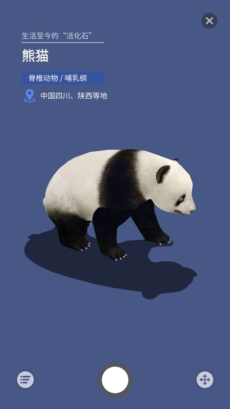 大眼探世界