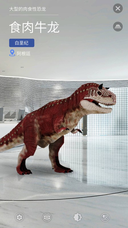 大眼探世界