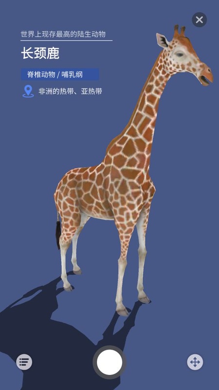 大眼探世界