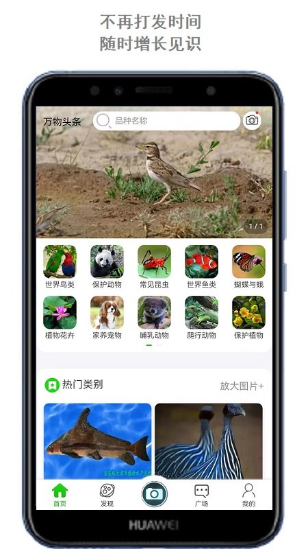 万物志