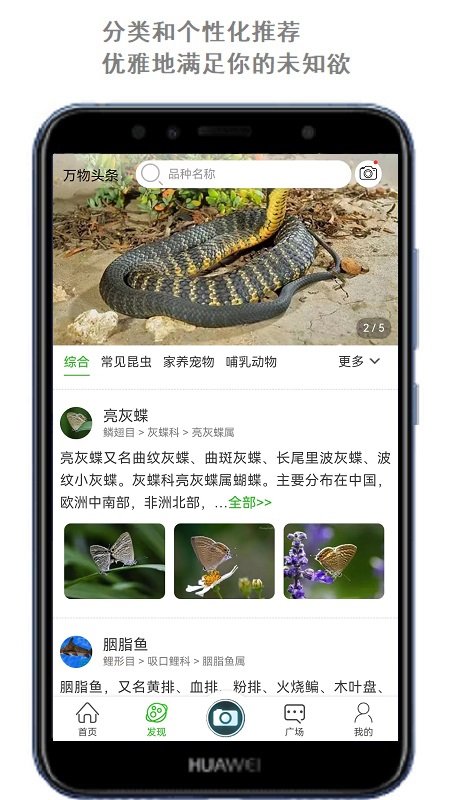 万物志
