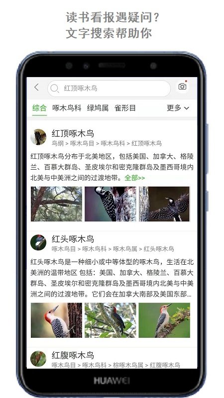万物志