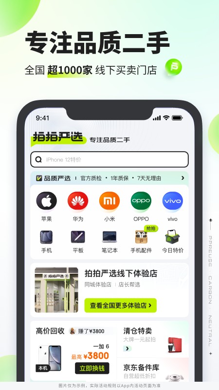 拍拍