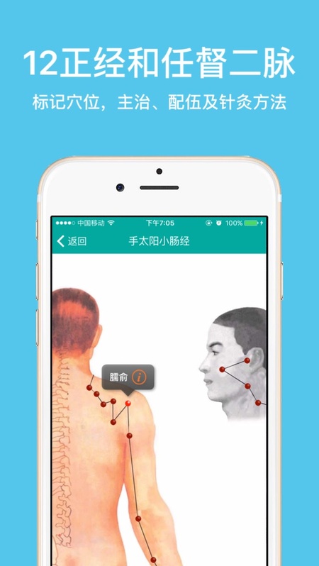 大中医