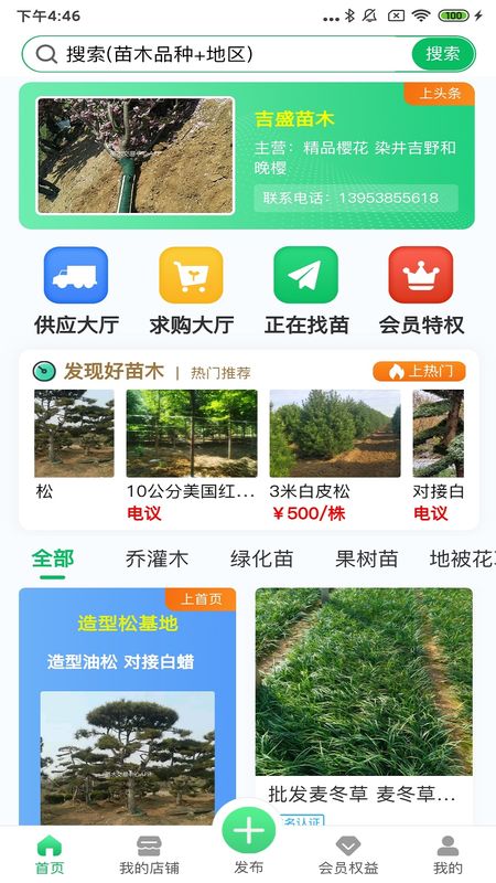 苗木交易中心