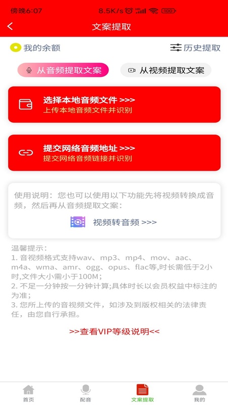 配音大助手