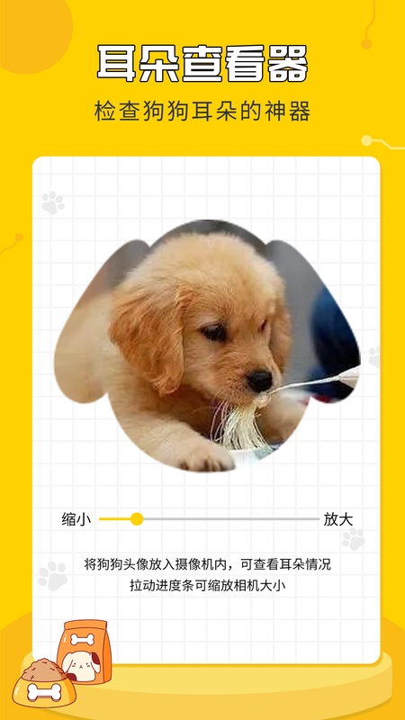 人狗翻译神器