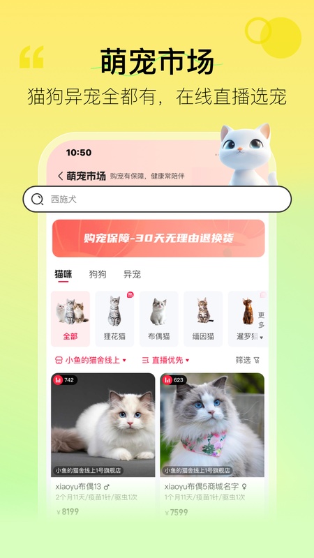 宠胖胖