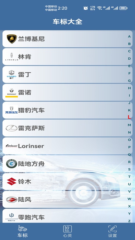 车标识车