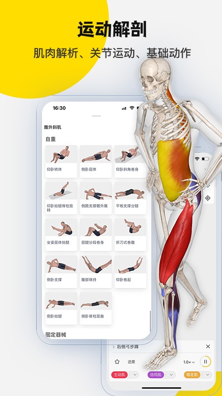 3Dbody解剖