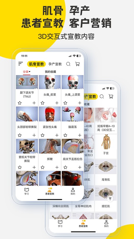 3Dbody解剖