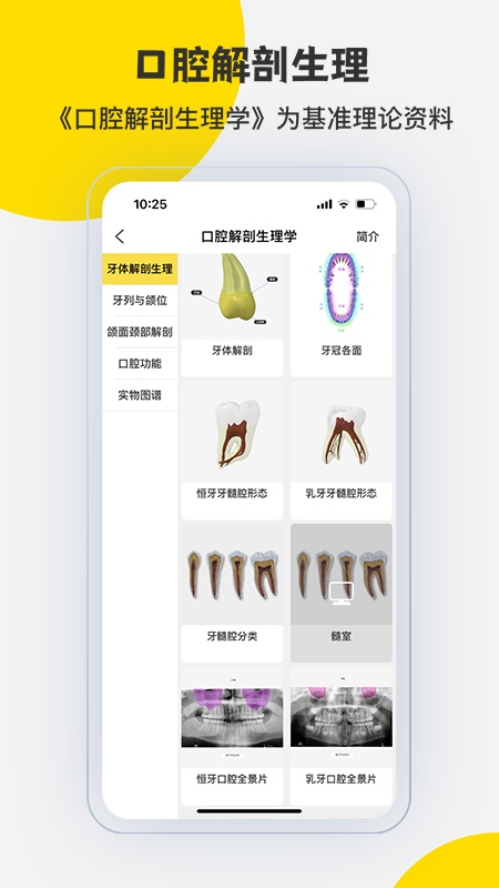 3Dbody解剖
