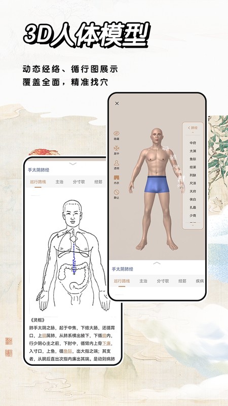经络穴位标准指南