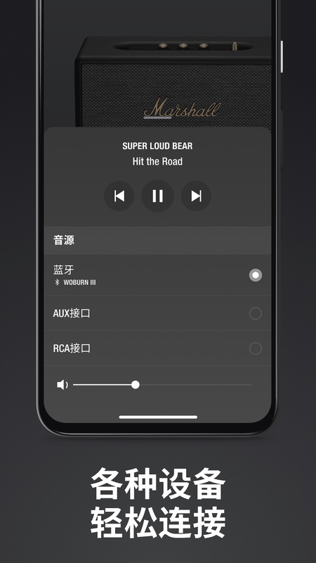 Marshall Bluetooth