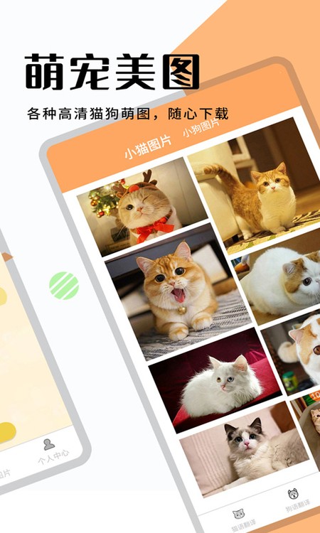 猫狗翻译器软件