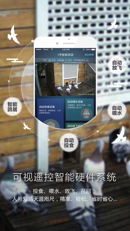 爱鸽者