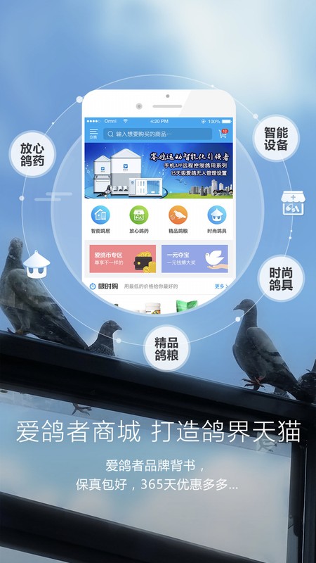 爱鸽者
