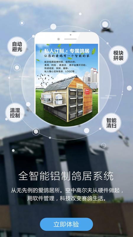 爱鸽者
