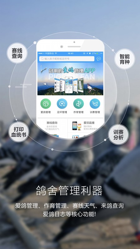 爱鸽者