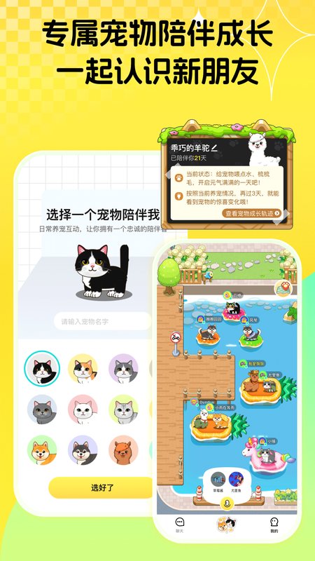 碰爪
