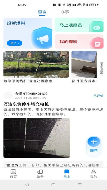 白菜心