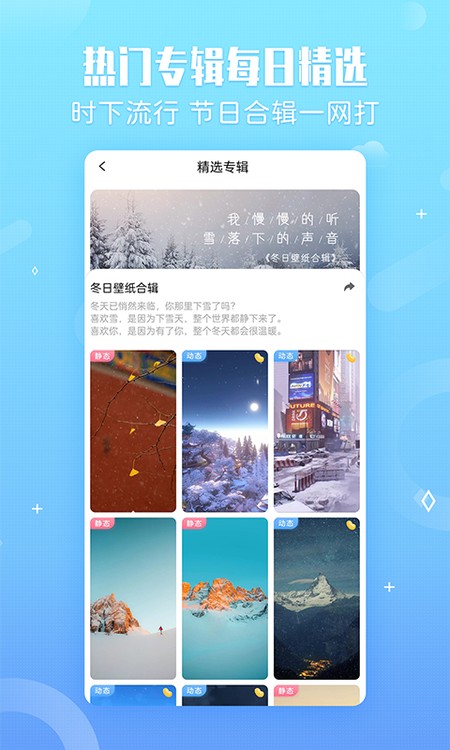 小鸟壁纸