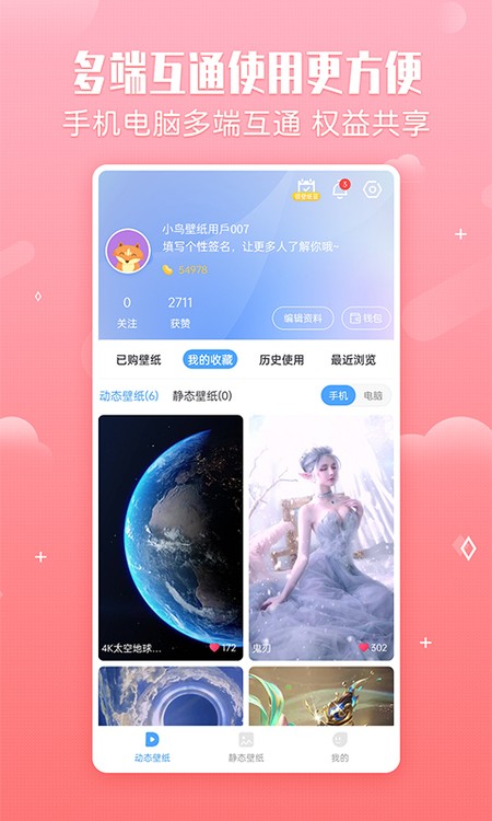 小鸟壁纸