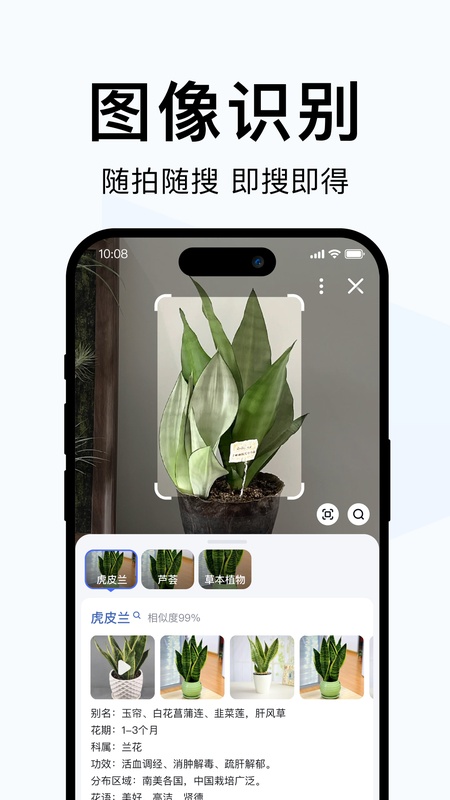 简单搜索
