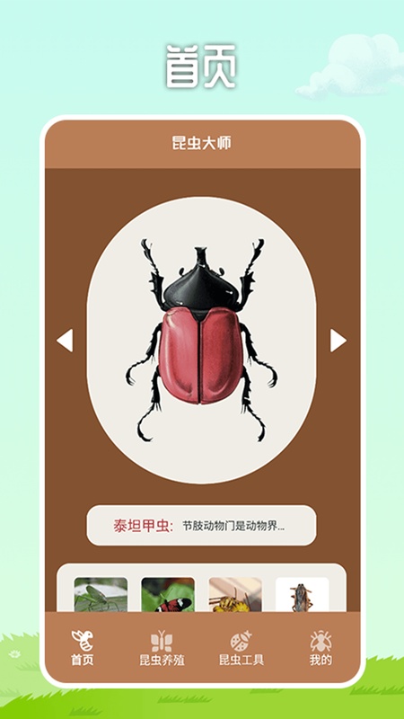 虫虫帮手