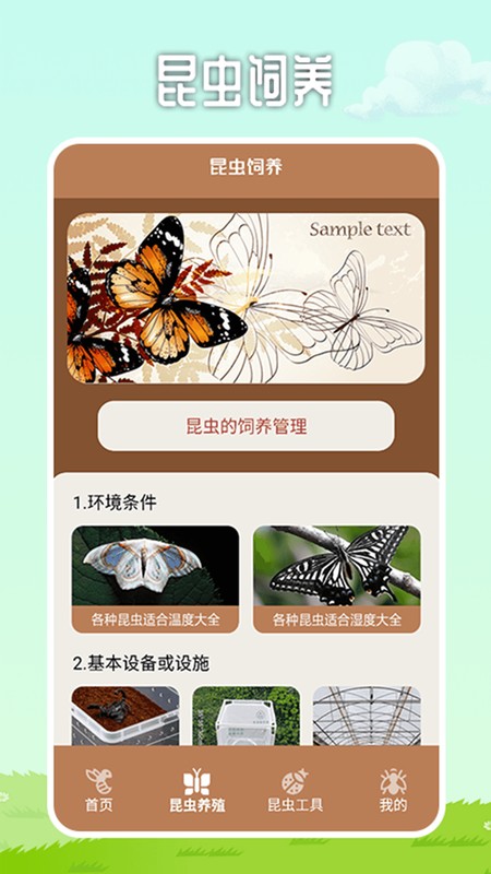 虫虫帮手